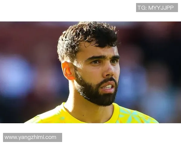 西班牙足球帅哥球星大集合 谁是你心中的足球魅力担当